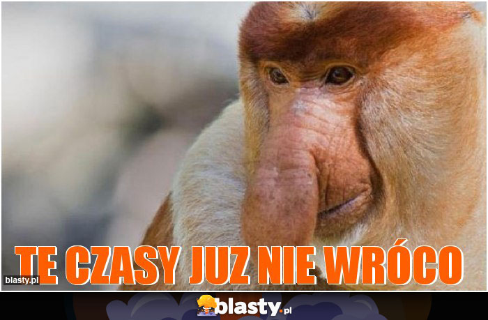 TE CZASY JUZ NIE WRÓCO