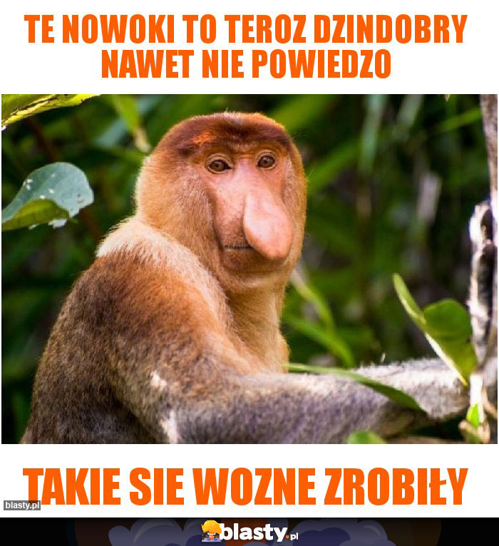 Te nowoki to teroz dzindobry nawet nie powiedzo