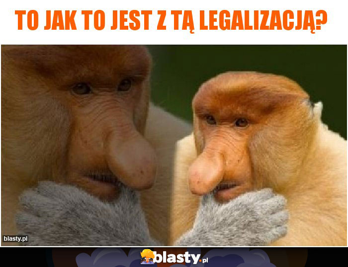 to jak to jest z tą legalizacją?