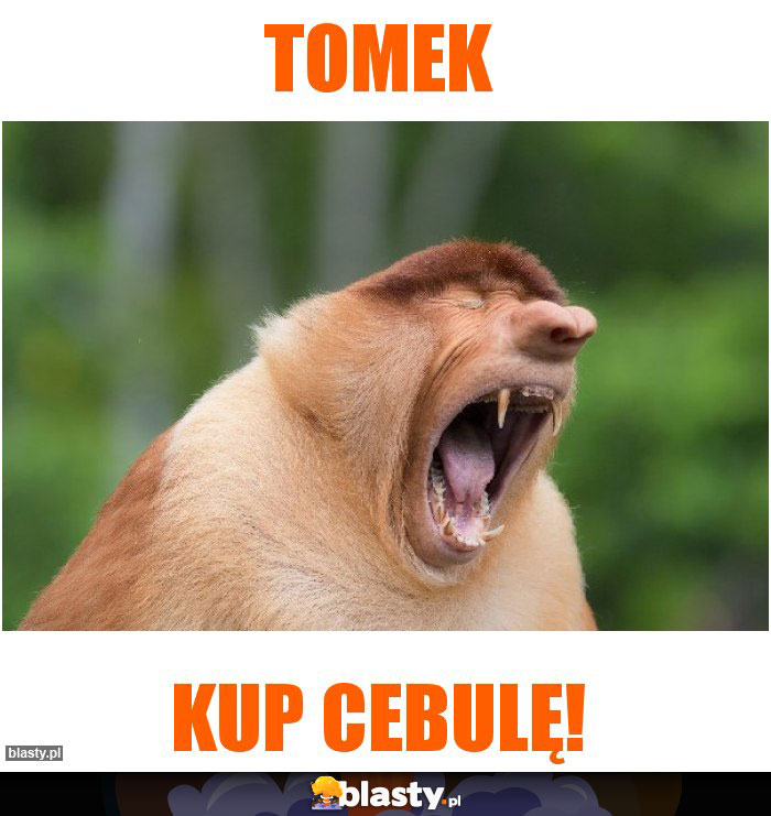 Tomek