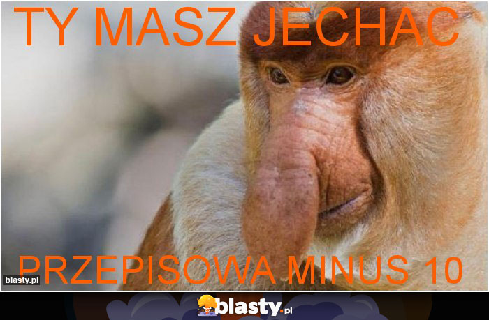 ty masz jechac