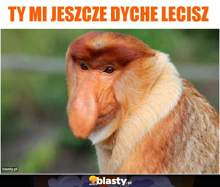 Ty mi jeszcze dyche lecisz