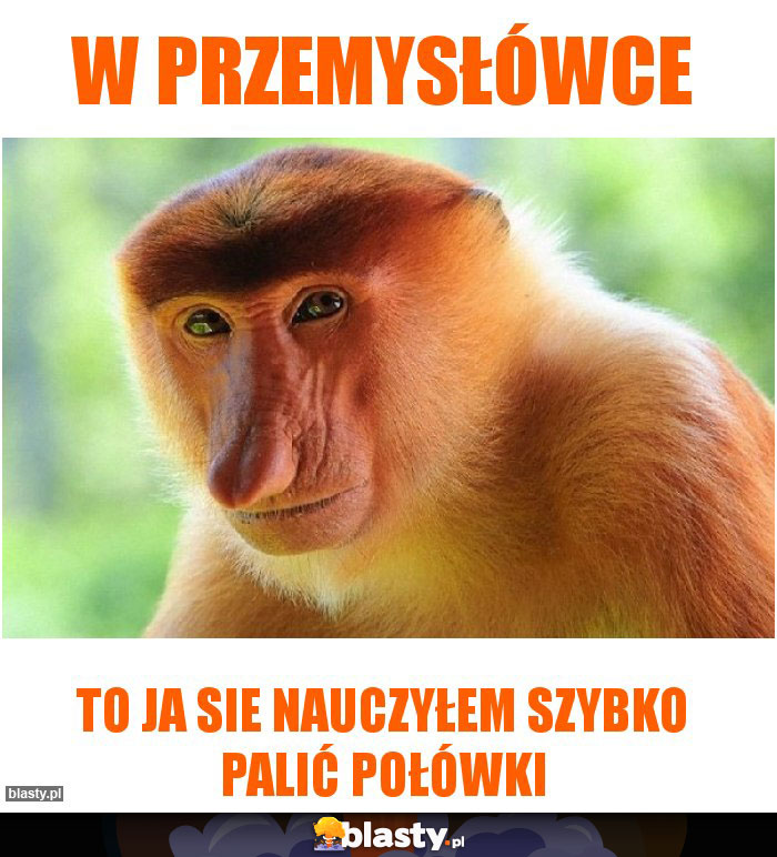 W przemysłówce