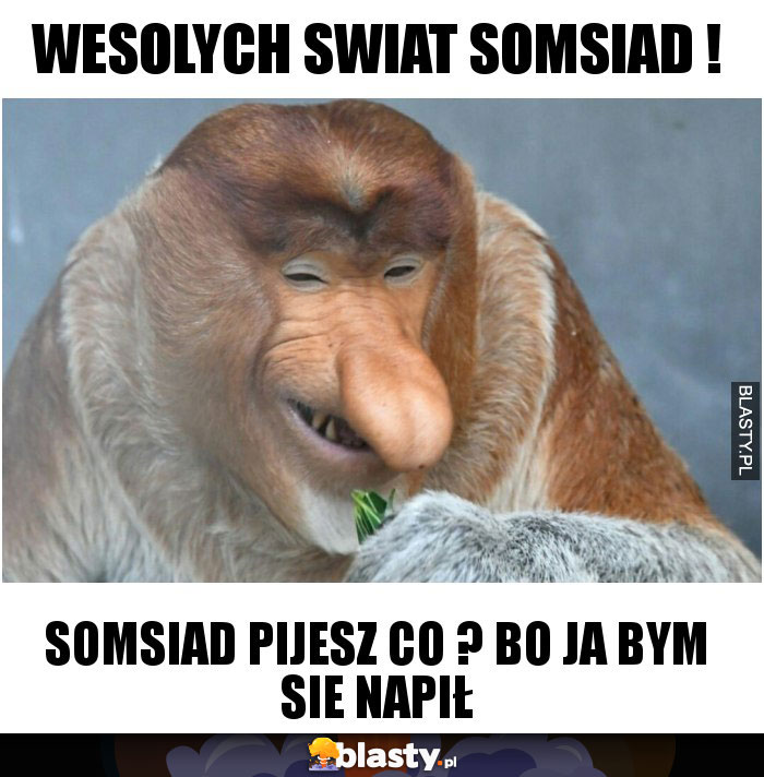 Wesolych Swiat Somsiad !