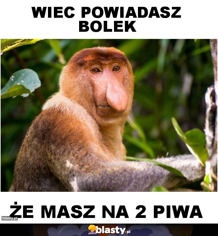 wiec powiadasz bolek