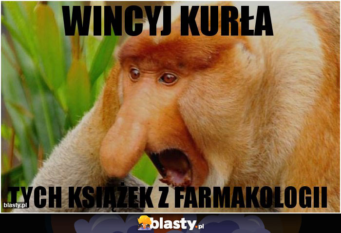 WINCYJ KURŁA