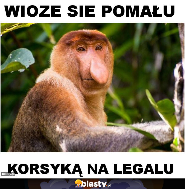 Wioze sie pomału