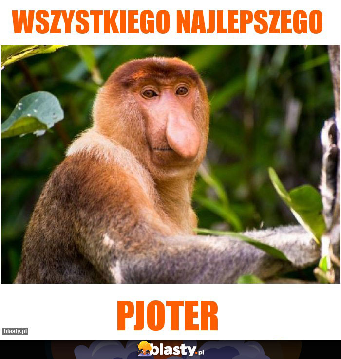 Wszystkiego najlepszego