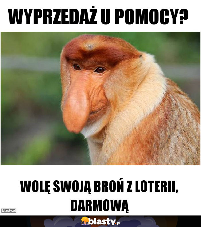 wyprzedaż u pomocy?