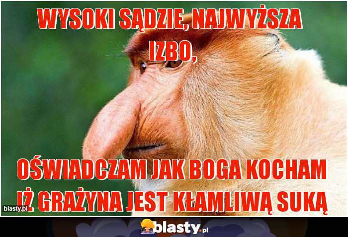 Wysoki Sądzie, Najwyższa  Izbo,