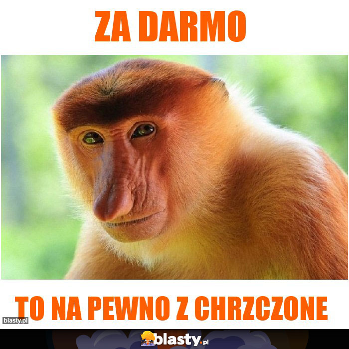 Za darmo