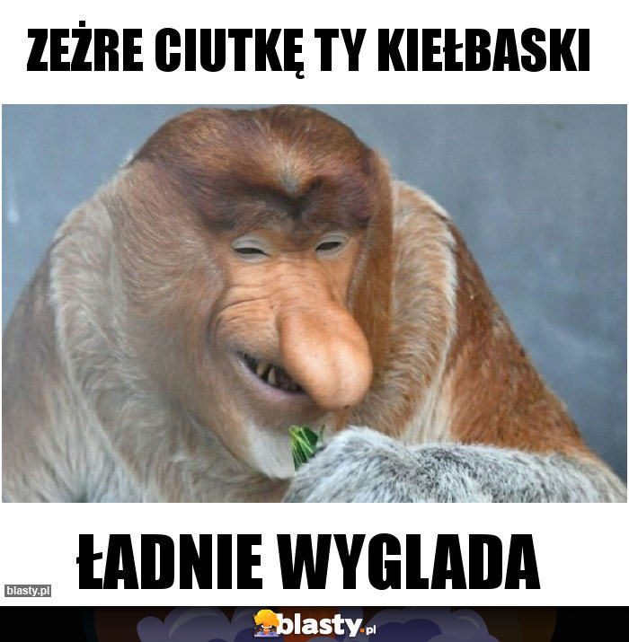 Zeżre ciutkę ty kiełbaski