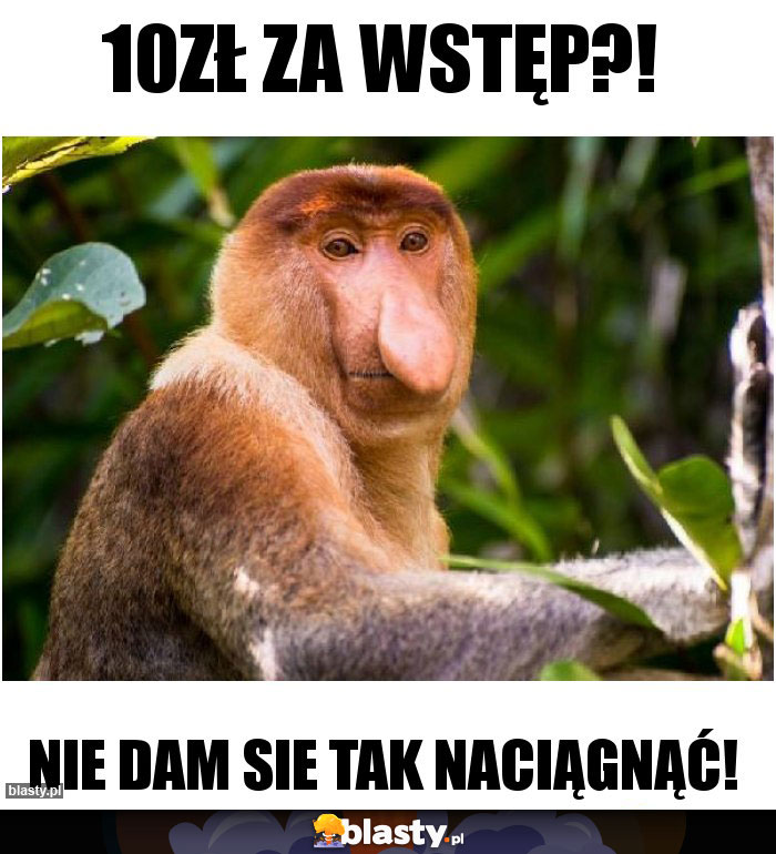 10zł za wstęp?!