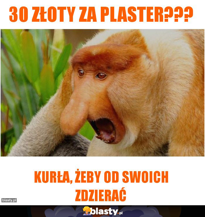 30 złoty za plaster???