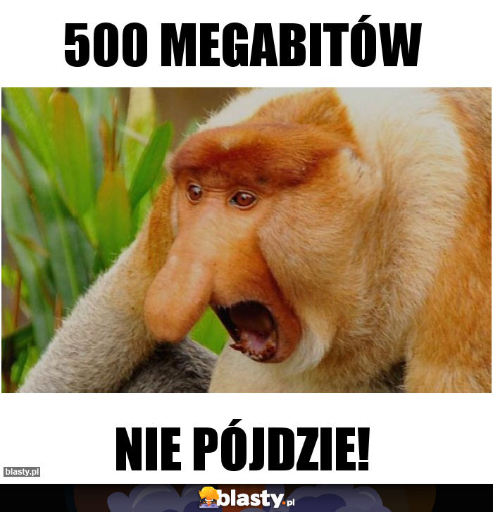 500 megabitów