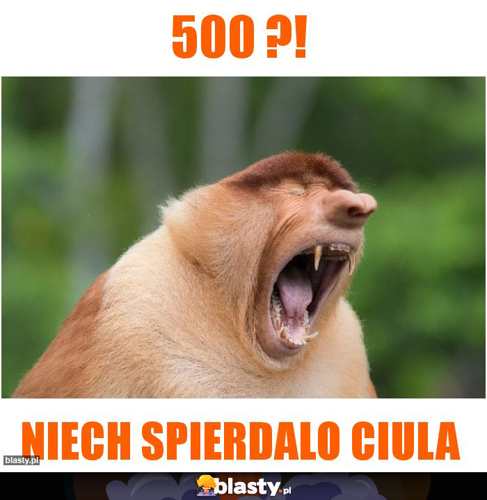 500 ?!