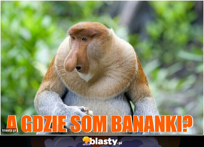 A Gdzie som bananki?