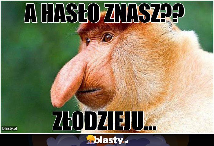 a hasło znasz??