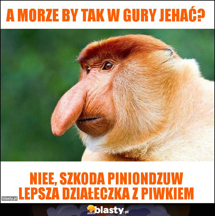 A morze by tak w gury jehać?