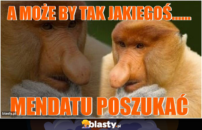 A może by tak jakiegoś......