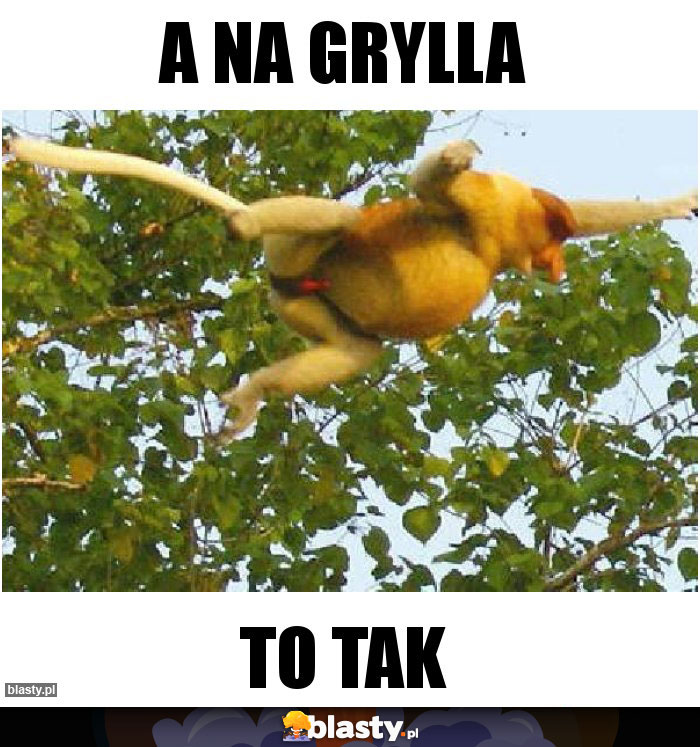 A NA GRYLLA