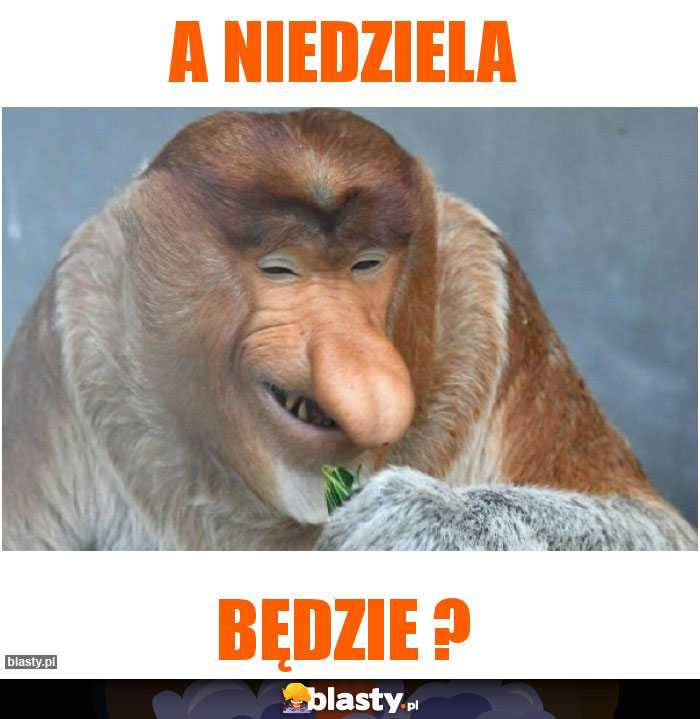 A NIEDZIELA