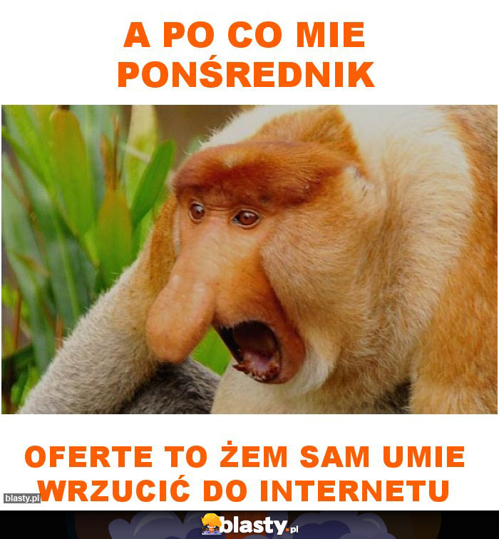 a po co mie ponśrednik