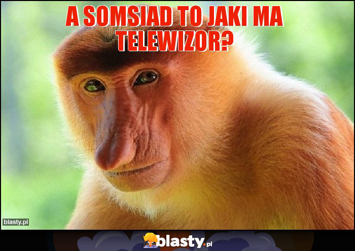 a somsiad to jaki ma telewizor?