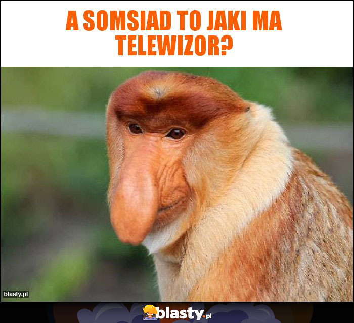 a somsiad to jaki ma telewizor?