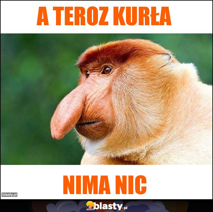 A teroz kurła