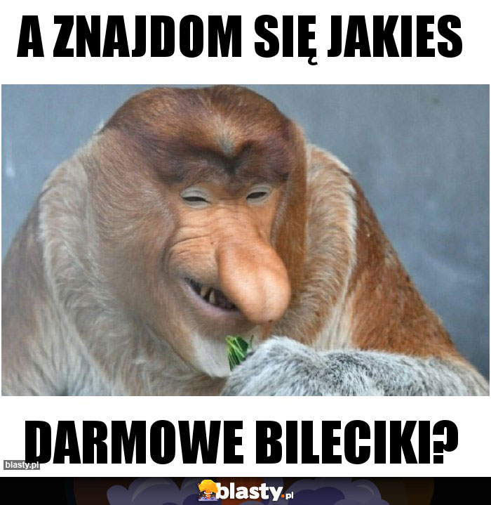 A znajdom się jakies