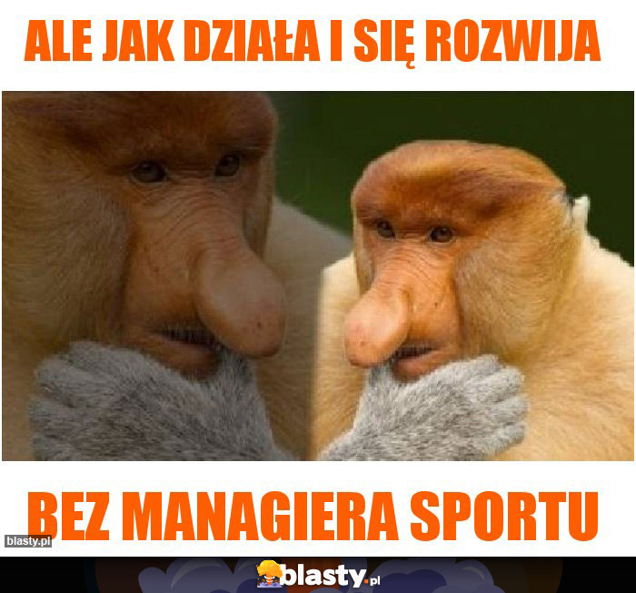 ale jak działa i się rozwija