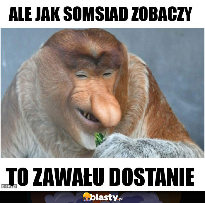 Ale jak somsiad zobaczy