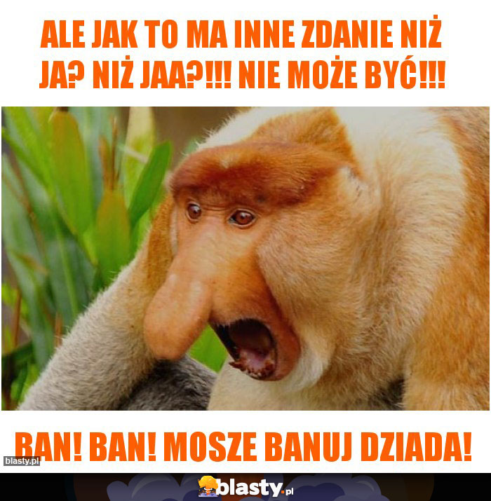 Ale jak to ma inne zdanie niż ja? Niż JAA?!!! Nie może być!!!