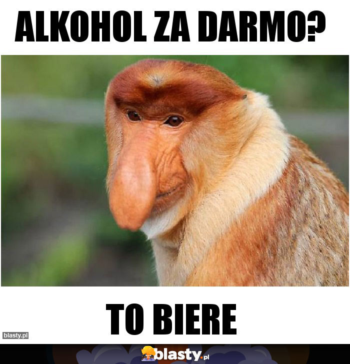 alkohol za darmo?