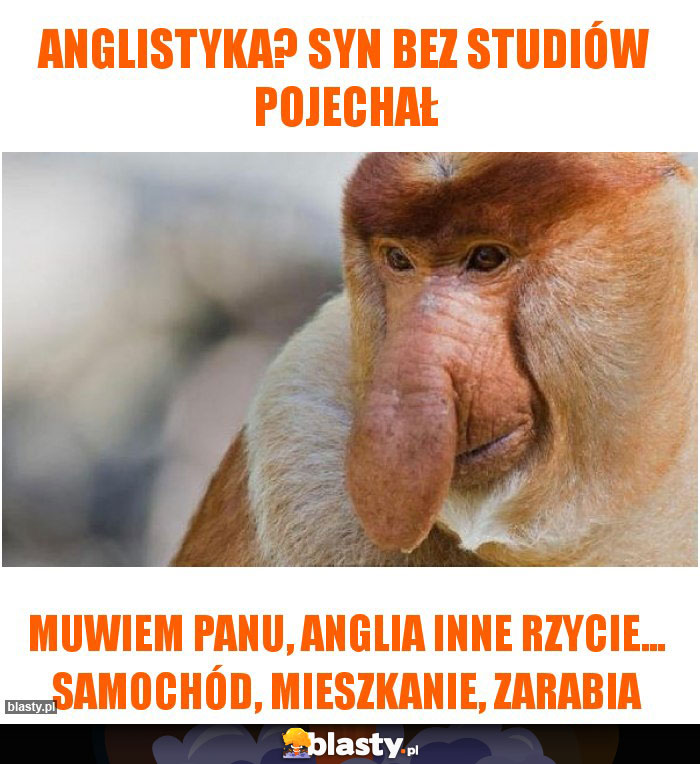 Anglistyka? Syn bez studiów pojechał