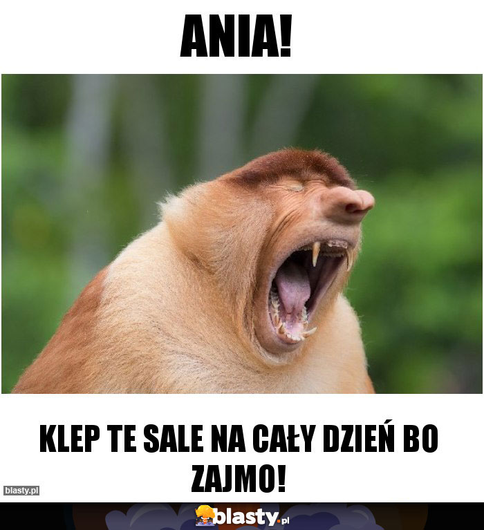 ANIA!