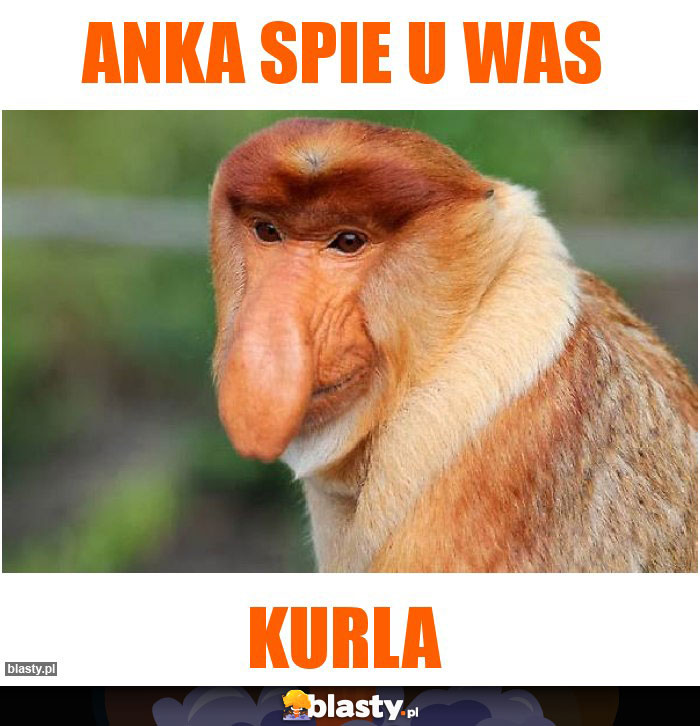 anka spie u was