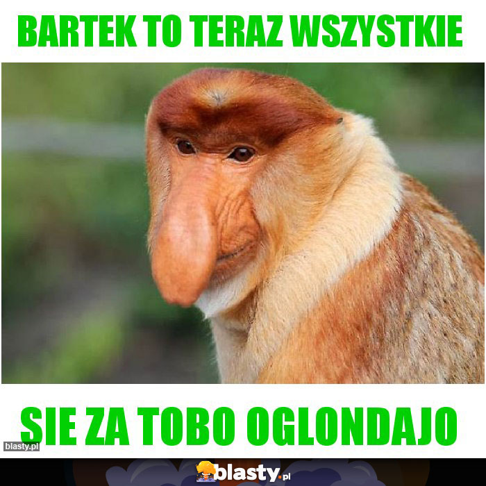 Bartek to teraz wszystkie