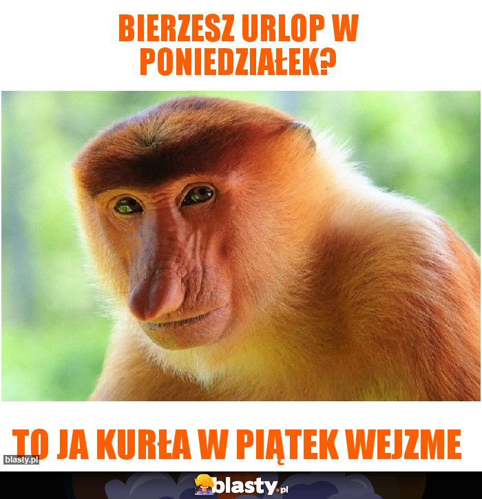 Bierzesz urlop w poniedziałek?