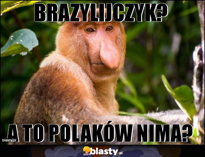 BRAZYLIJCZYK?