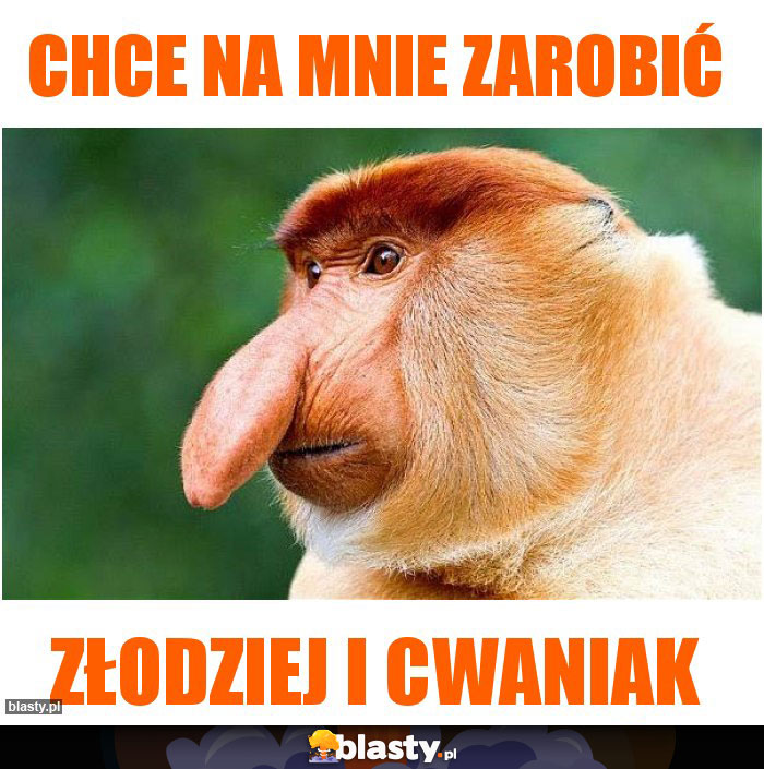 Chce na mnie zarobić