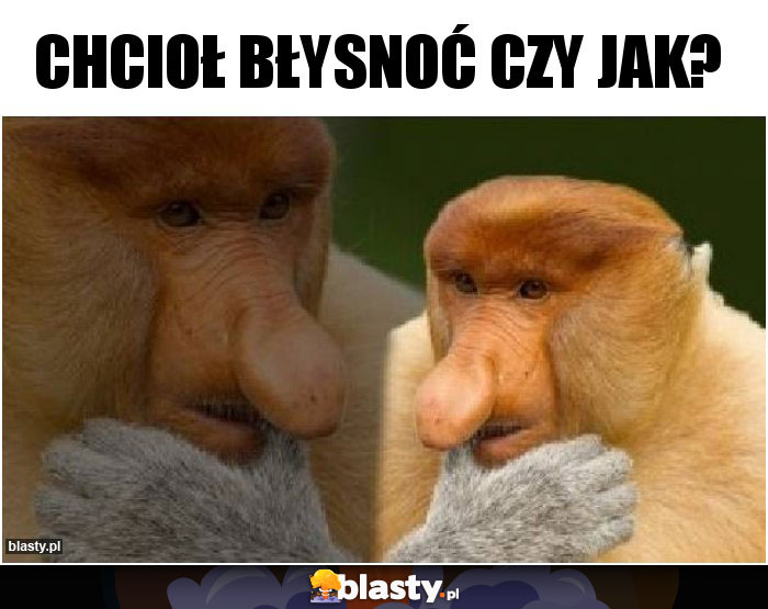 Chcioł błysnoć czy jak?