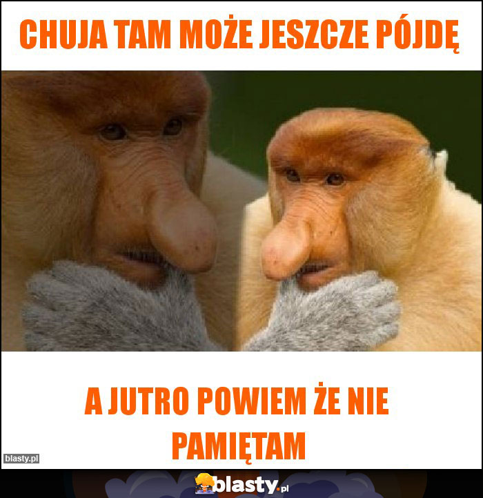 Chuja tam może jeszcze pójdę