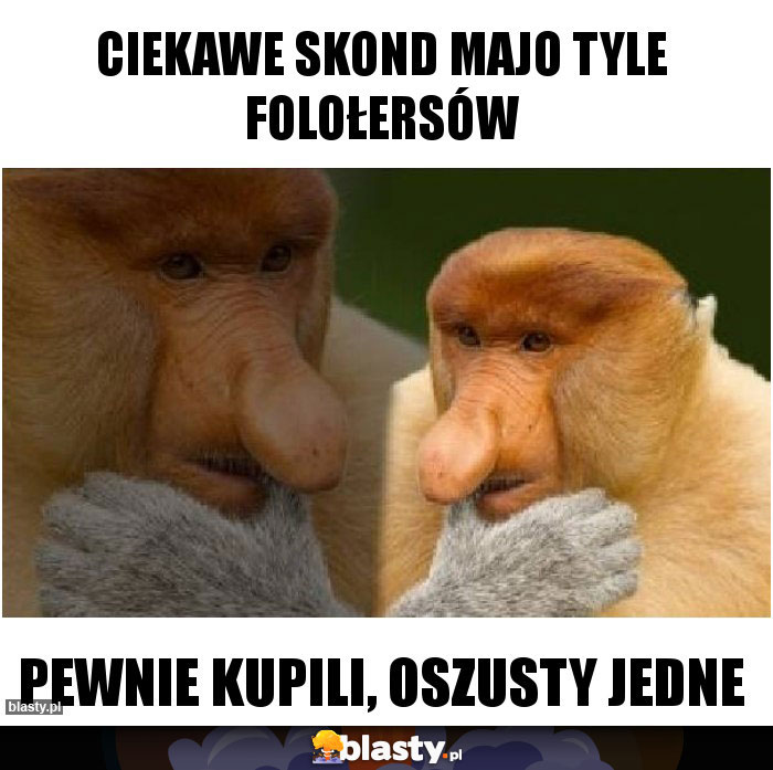 Ciekawe skond majo tyle folołersów