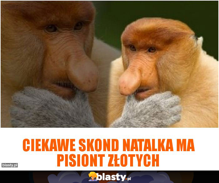 Ciekawe skond natalka ma pisiont złotych