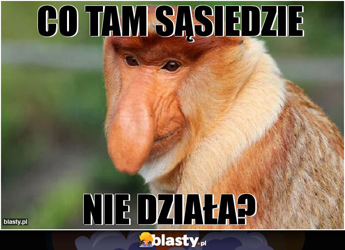 Co tam sąsiedzie