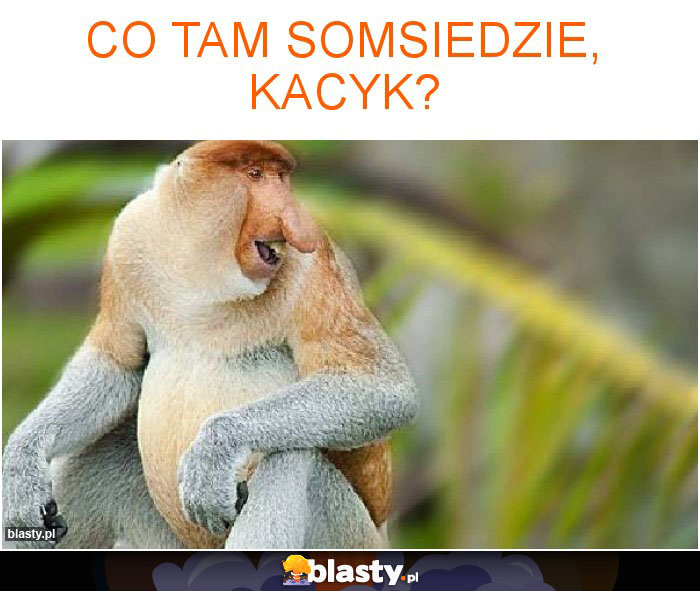 co tam somsiedzie, kacyk?