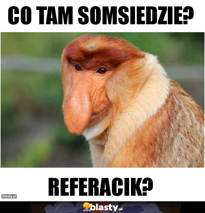 Co tam somsiedzie?