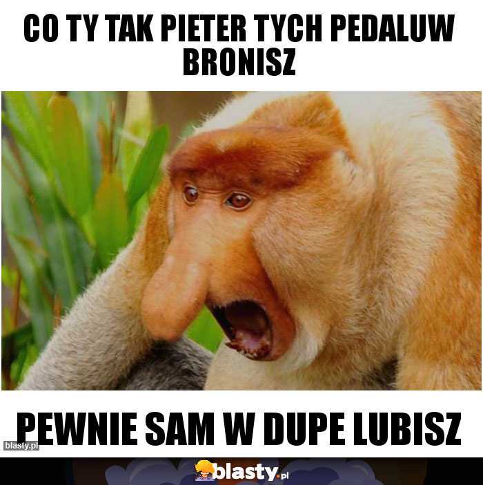 Co ty tak pieter tych pedaluw bronisz